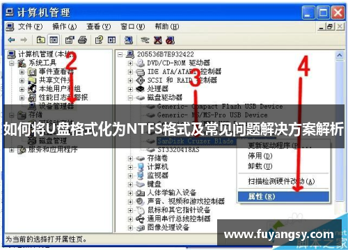 如何将U盘格式化为NTFS格式及常见问题解决方案解析