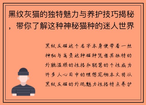 黑纹灰猫的独特魅力与养护技巧揭秘，带你了解这种神秘猫种的迷人世界