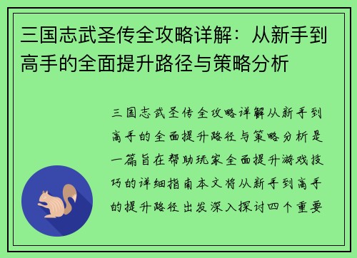 三国志武圣传全攻略详解：从新手到高手的全面提升路径与策略分析